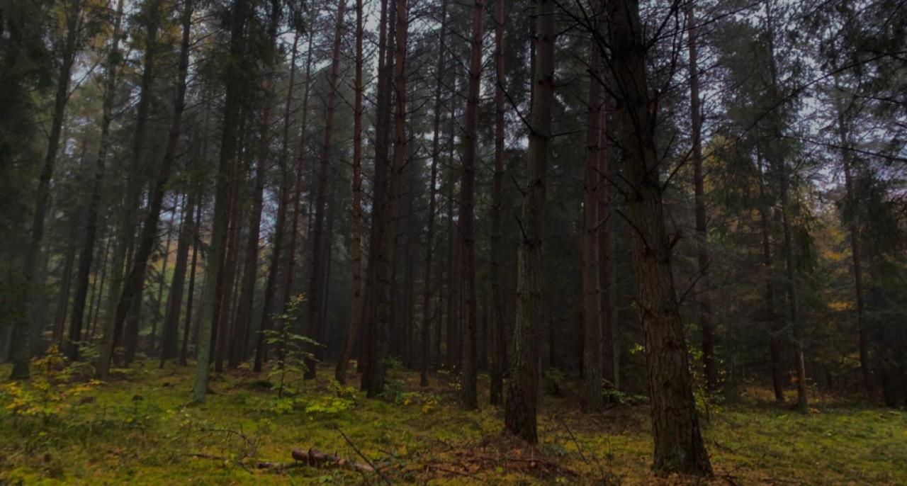Nadmorski Dom Pod Lasem Villa Mieroszyno Luaran gambar
